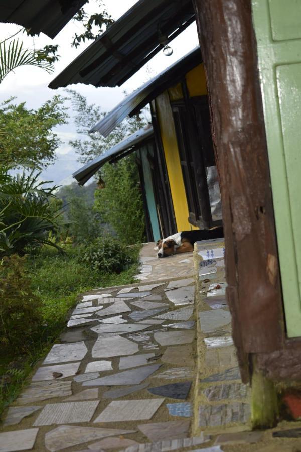 Posadamanduka Eco-Hostel Buenavista  외부 사진