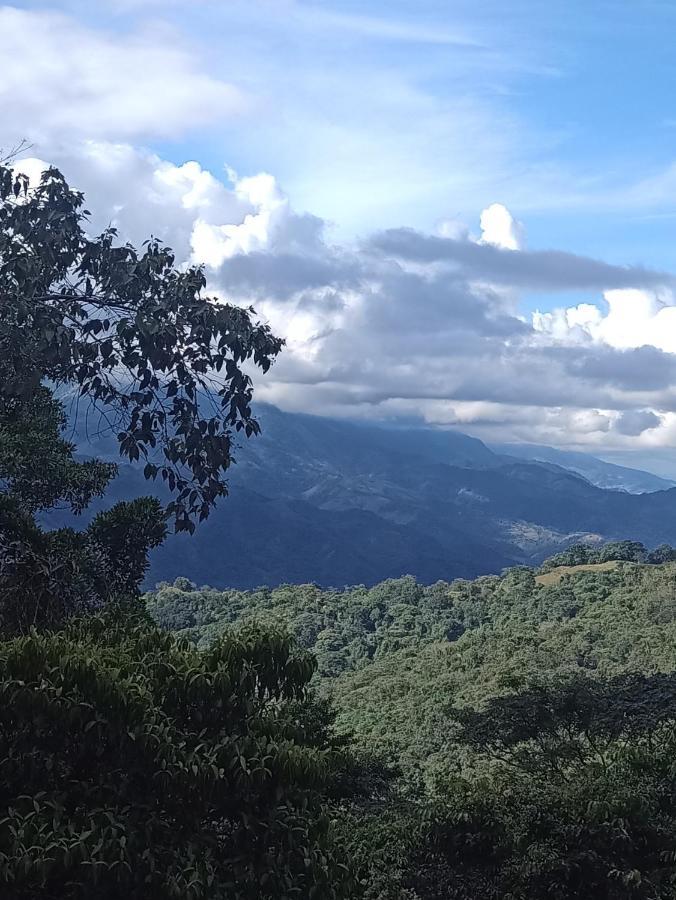 Posadamanduka Eco-Hostel Buenavista  외부 사진