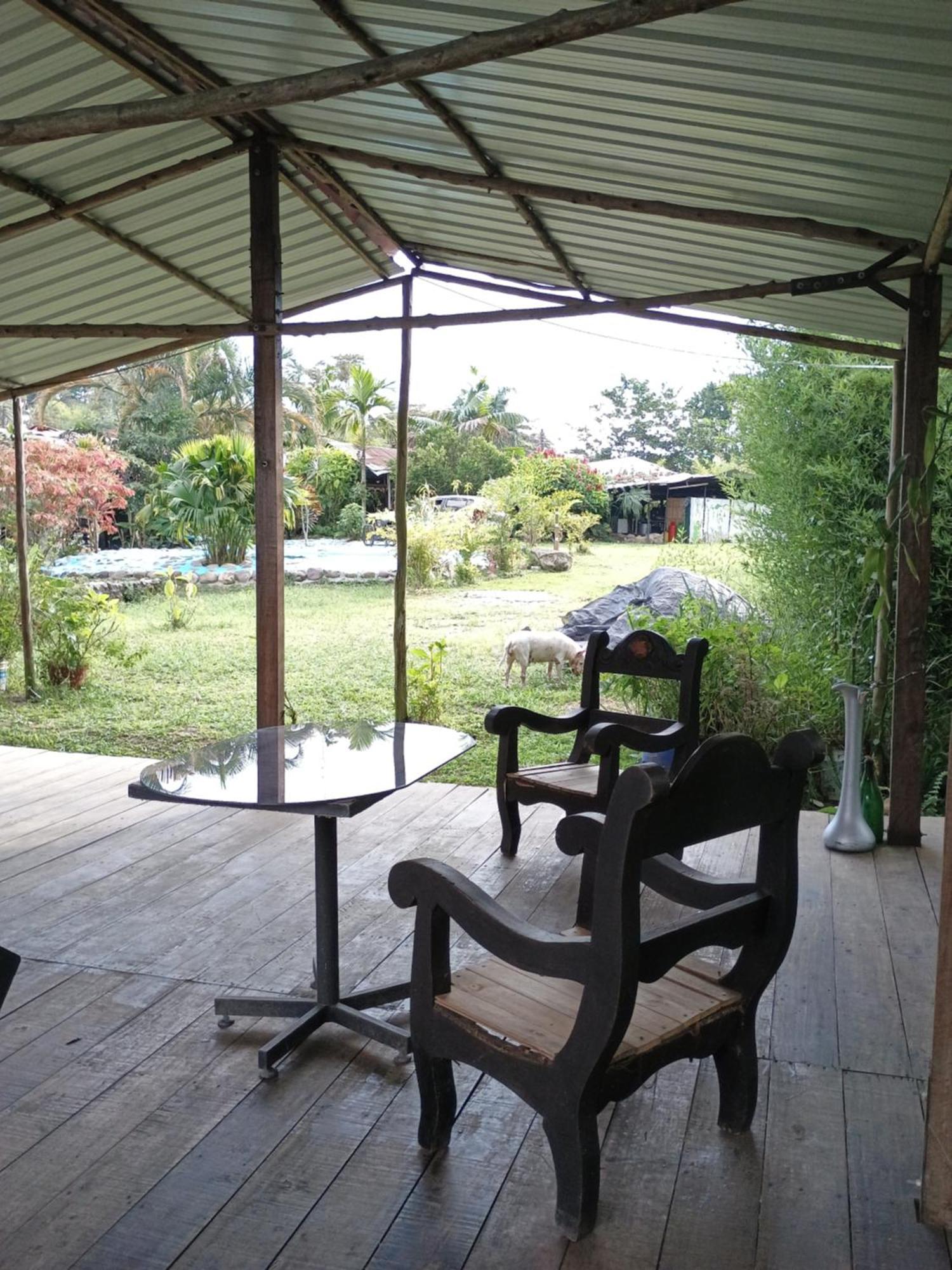 Posadamanduka Eco-Hostel Buenavista  외부 사진