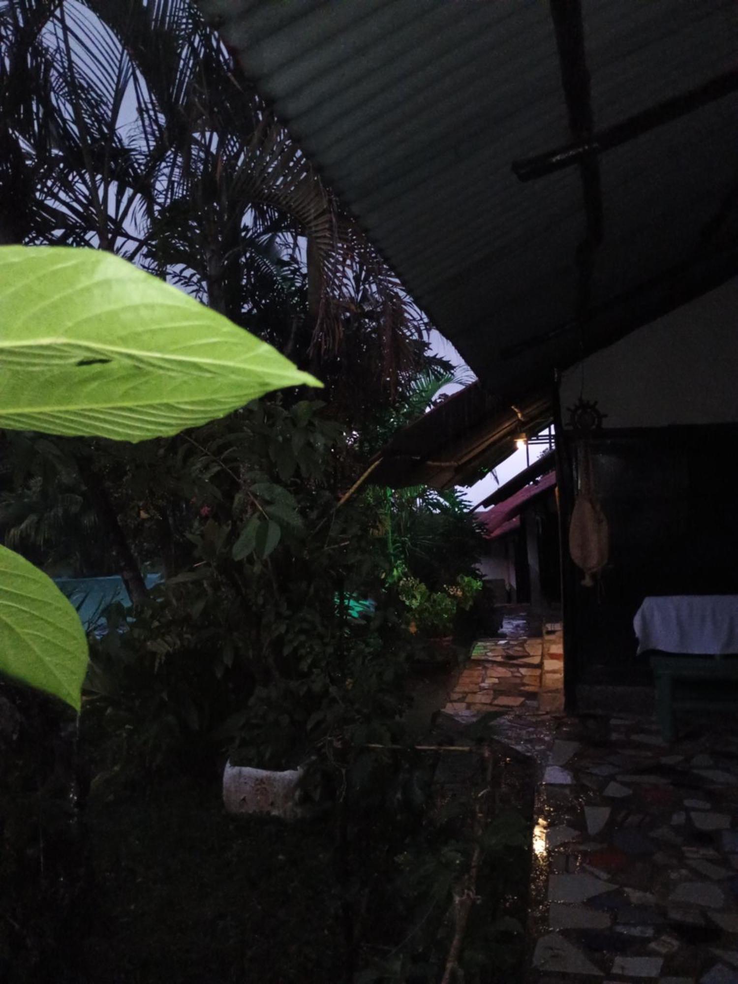 Posadamanduka Eco-Hostel Buenavista  외부 사진