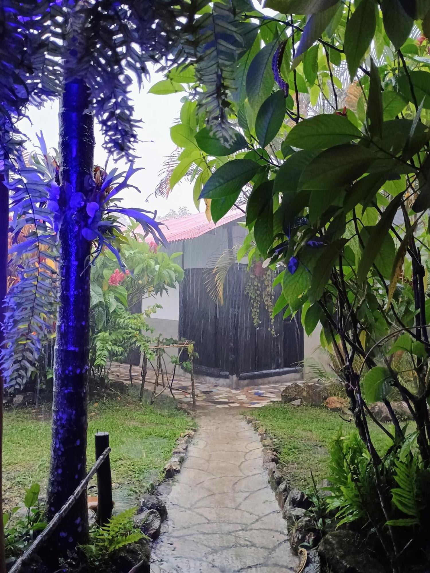 Posadamanduka Eco-Hostel Buenavista  외부 사진